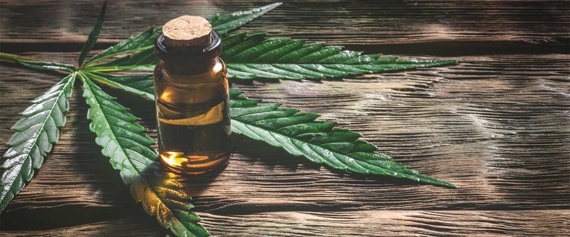 CBD and Addiction: Can it Help with Substance Abuse Recovery?