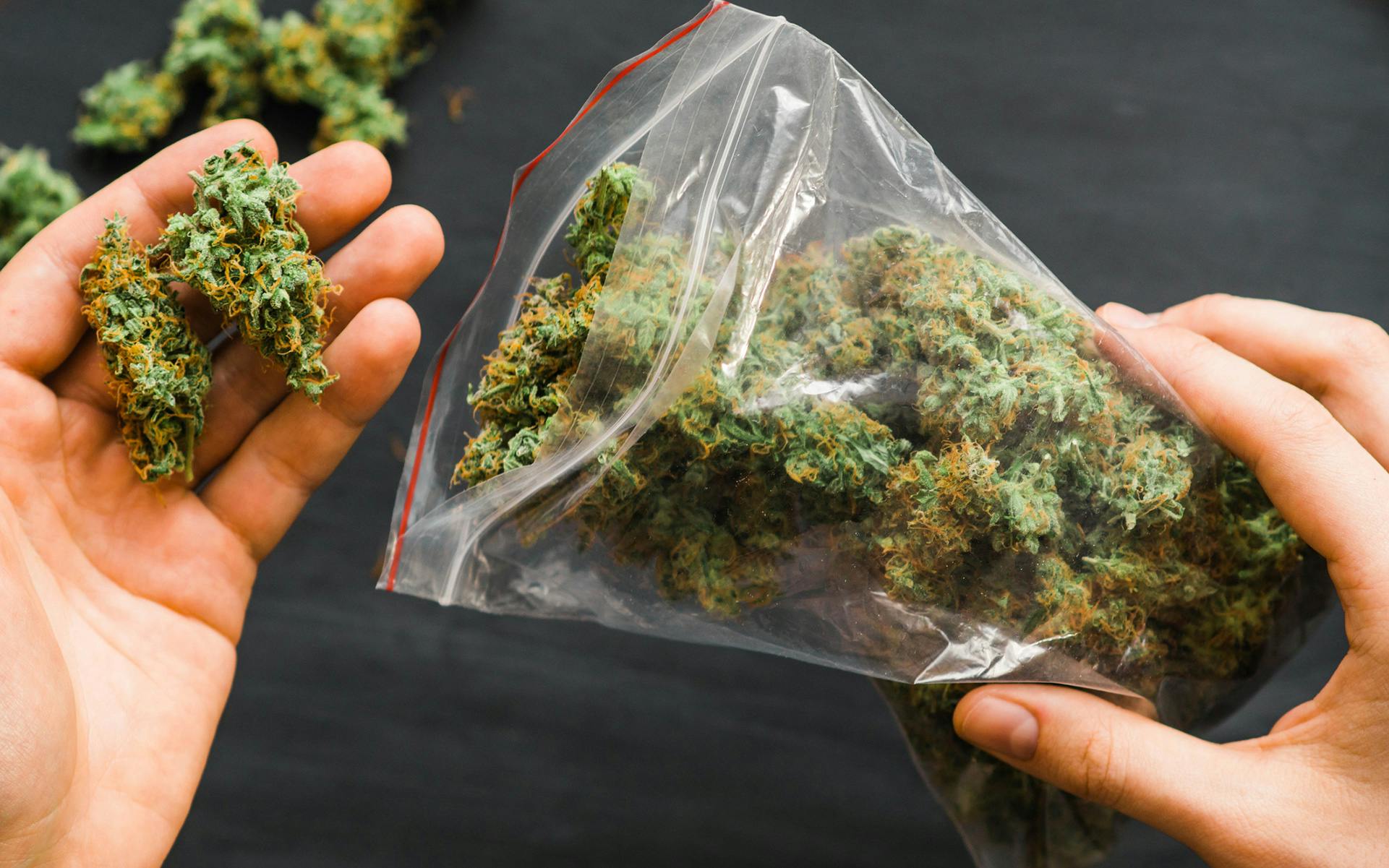 A Breakthrough in Epilepsy Treatment: CBD from Cannabis Slashes Seizures by Half