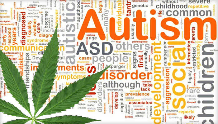 Unveiling the Green Promise: Cannabis High in CBD and Autism Spectrum Disorder