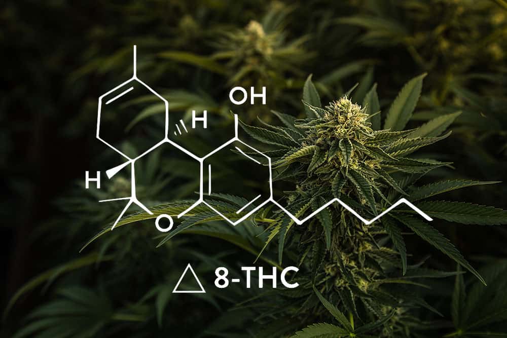 Delta 8 THC White Label
