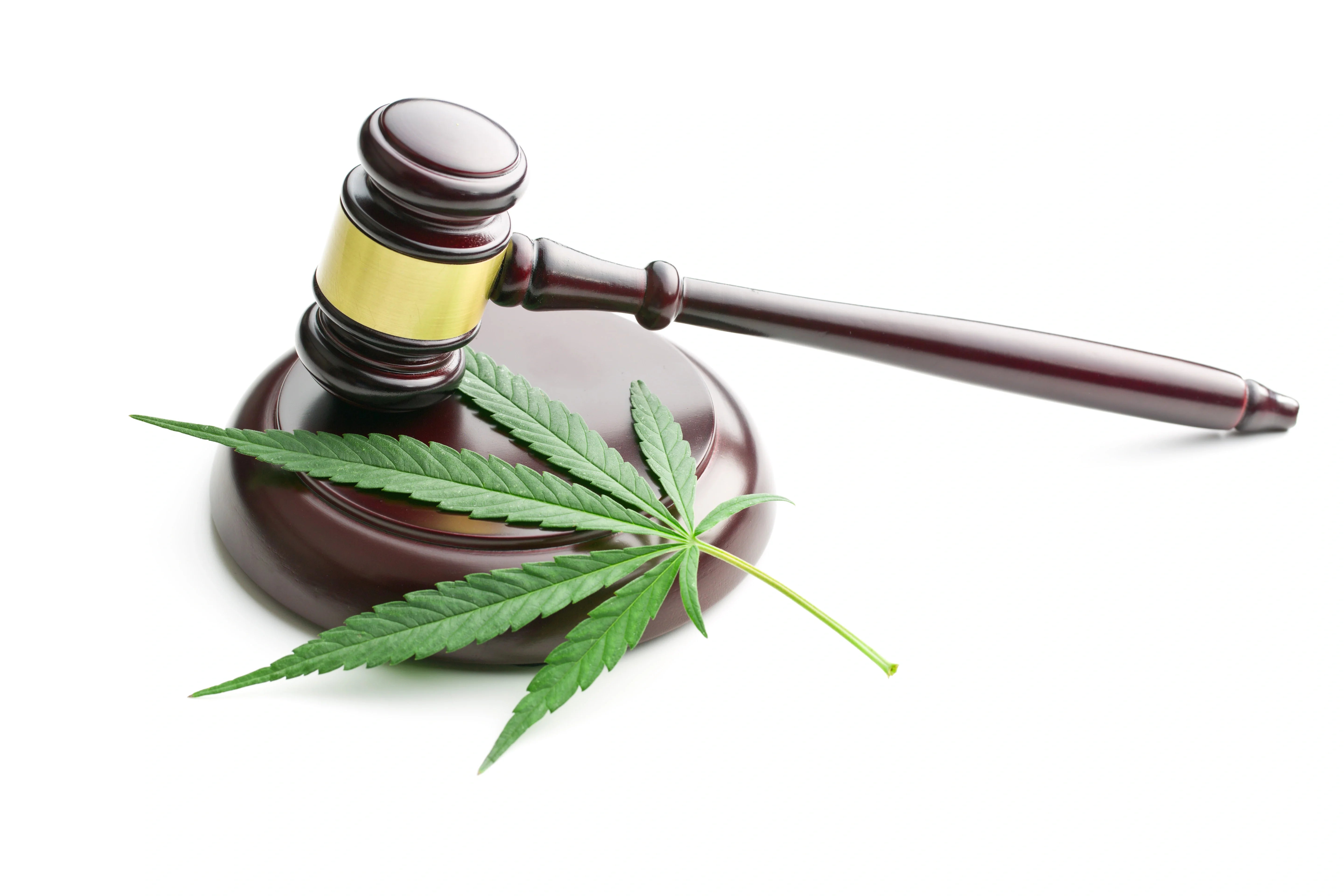 Colombia's Bold Call: Legalizing Marijuana to Curb the Illicit Drug Trade