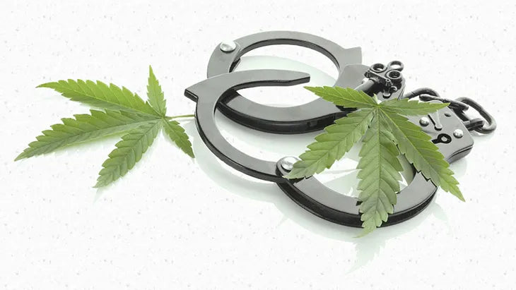 Marijuana Penalties