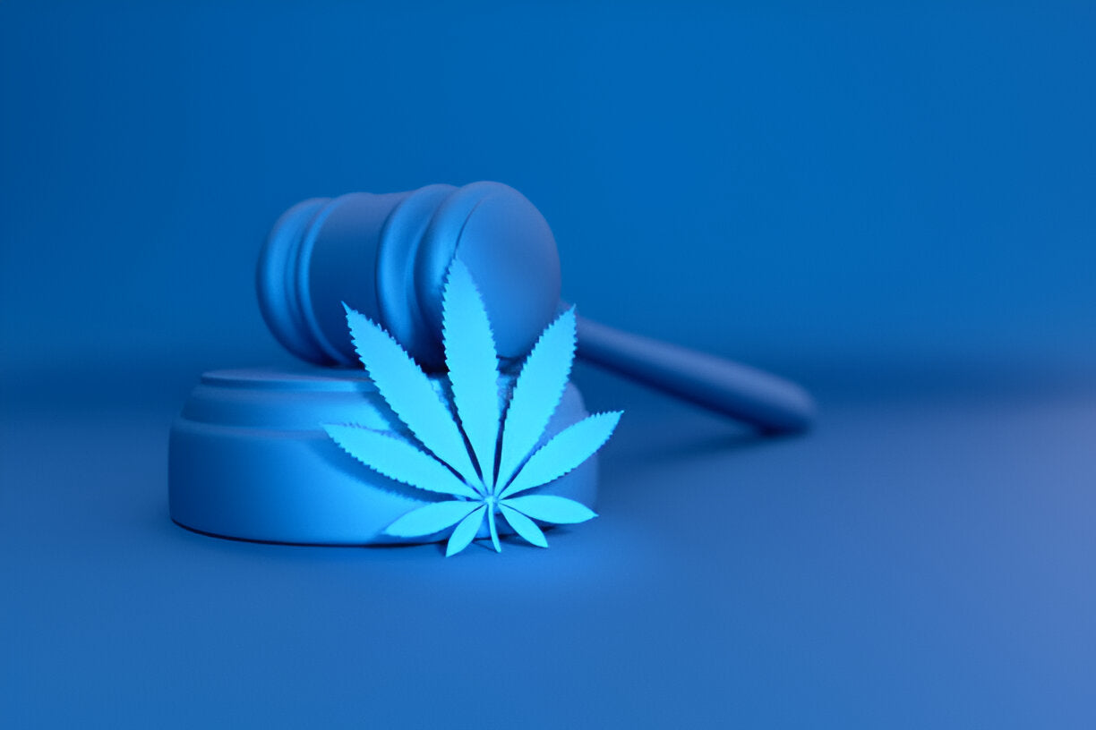 Are Memphis Police Over Fining Drivers for Minor Marijuana Possession?
