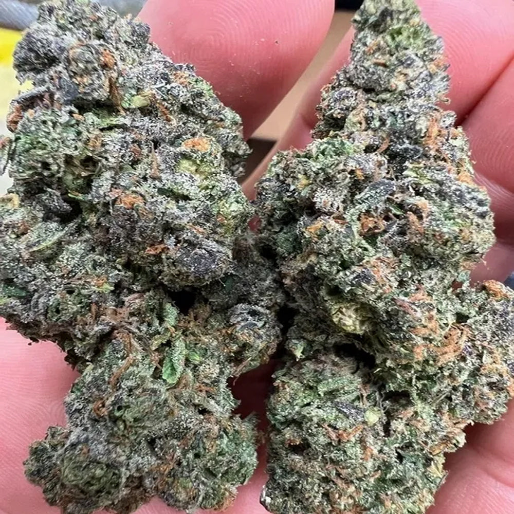 Premium THCA Flower
