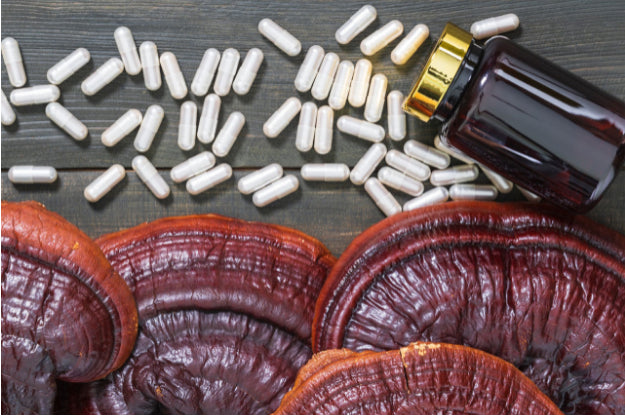 Reishi Mushroom Pills