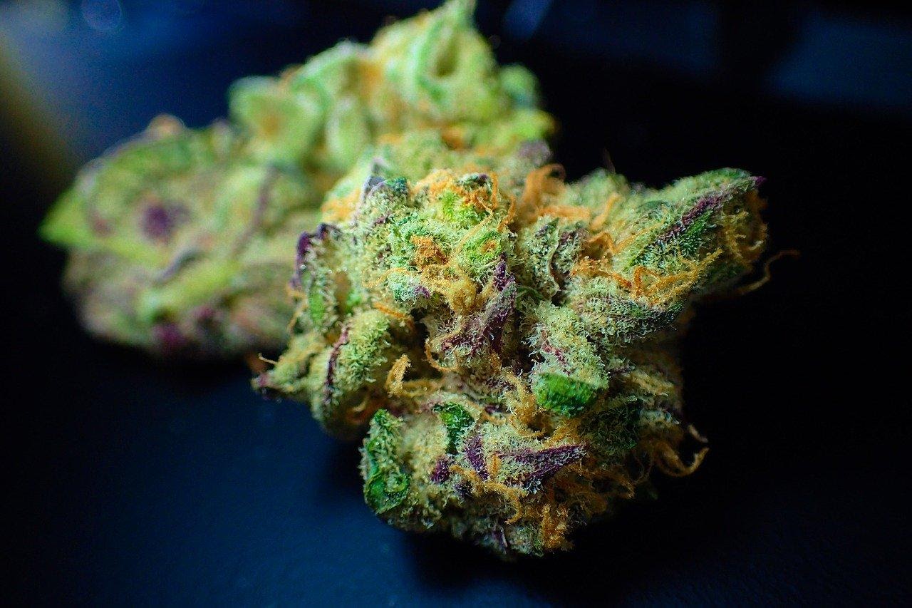 The Science Behind THC-O Flowers: A Growing Opportunity for White Label Businesses