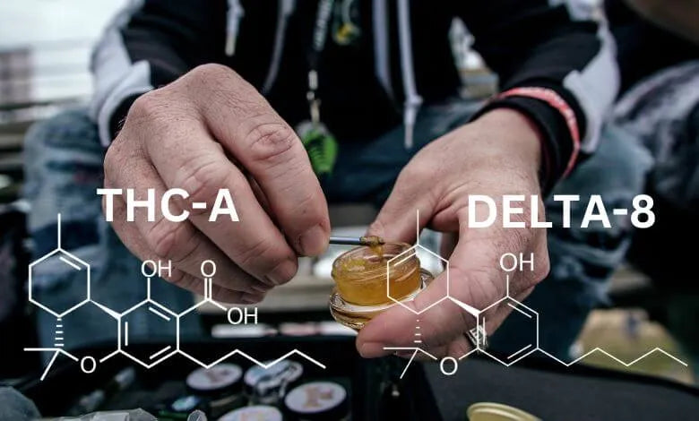 Delta 8 vs THCA