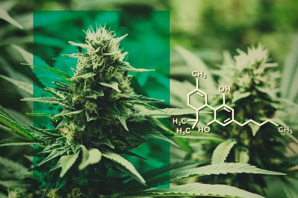 CBD Cooling Gel