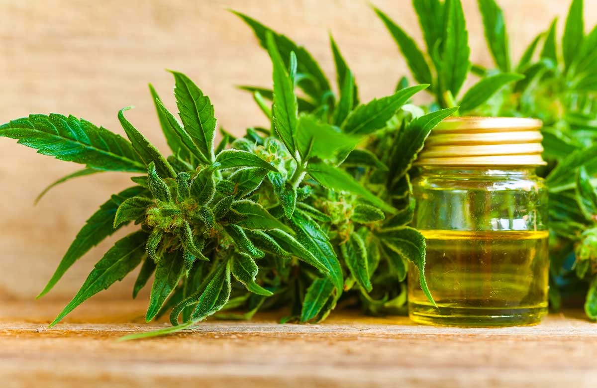 CBD Experience
