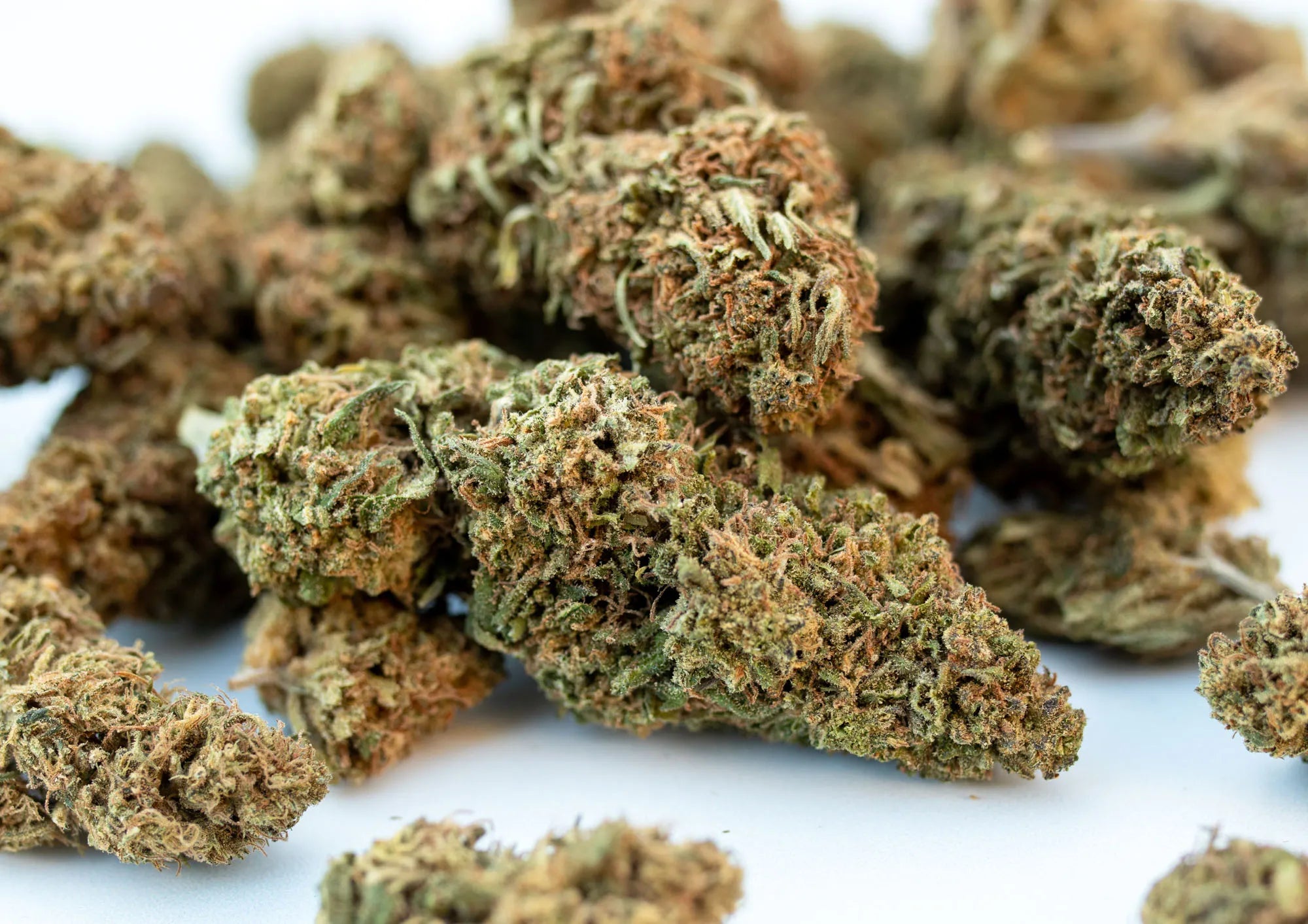 CBD Flower White Label