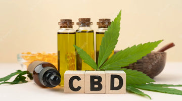 How to Get CBD Out of Your System: CBD Half Life