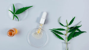 CBD Isolate Wholesale