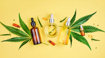 CBD Myths Busted by a Prominent Expert and Medical Doctor