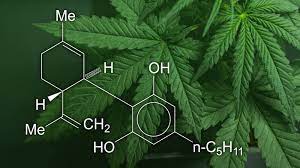 CBD Products Labeling