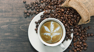 How to Add CBD to Coffee: Do Opposites Attract?