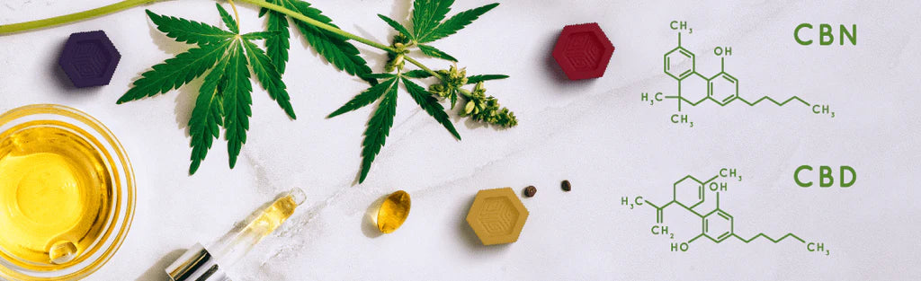 CBD vs CBN