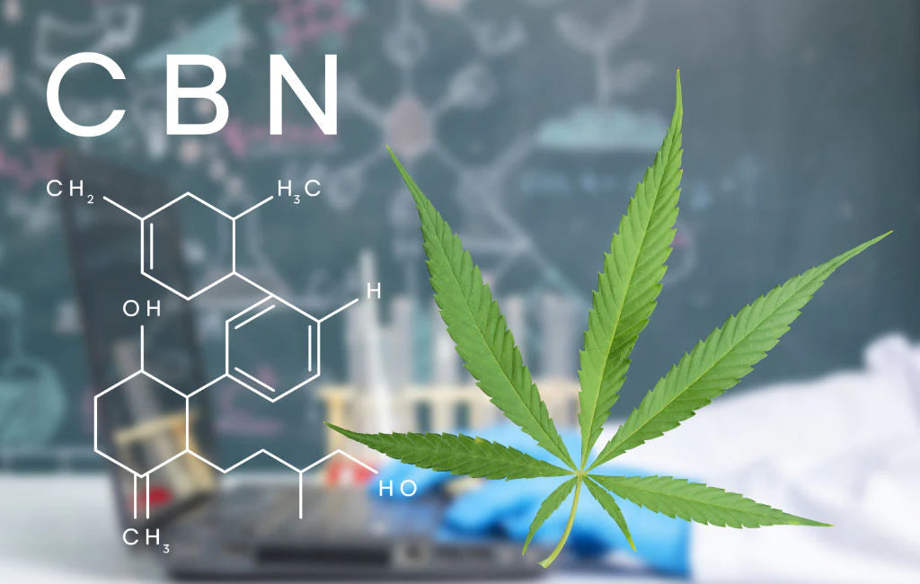 CBN Tincture