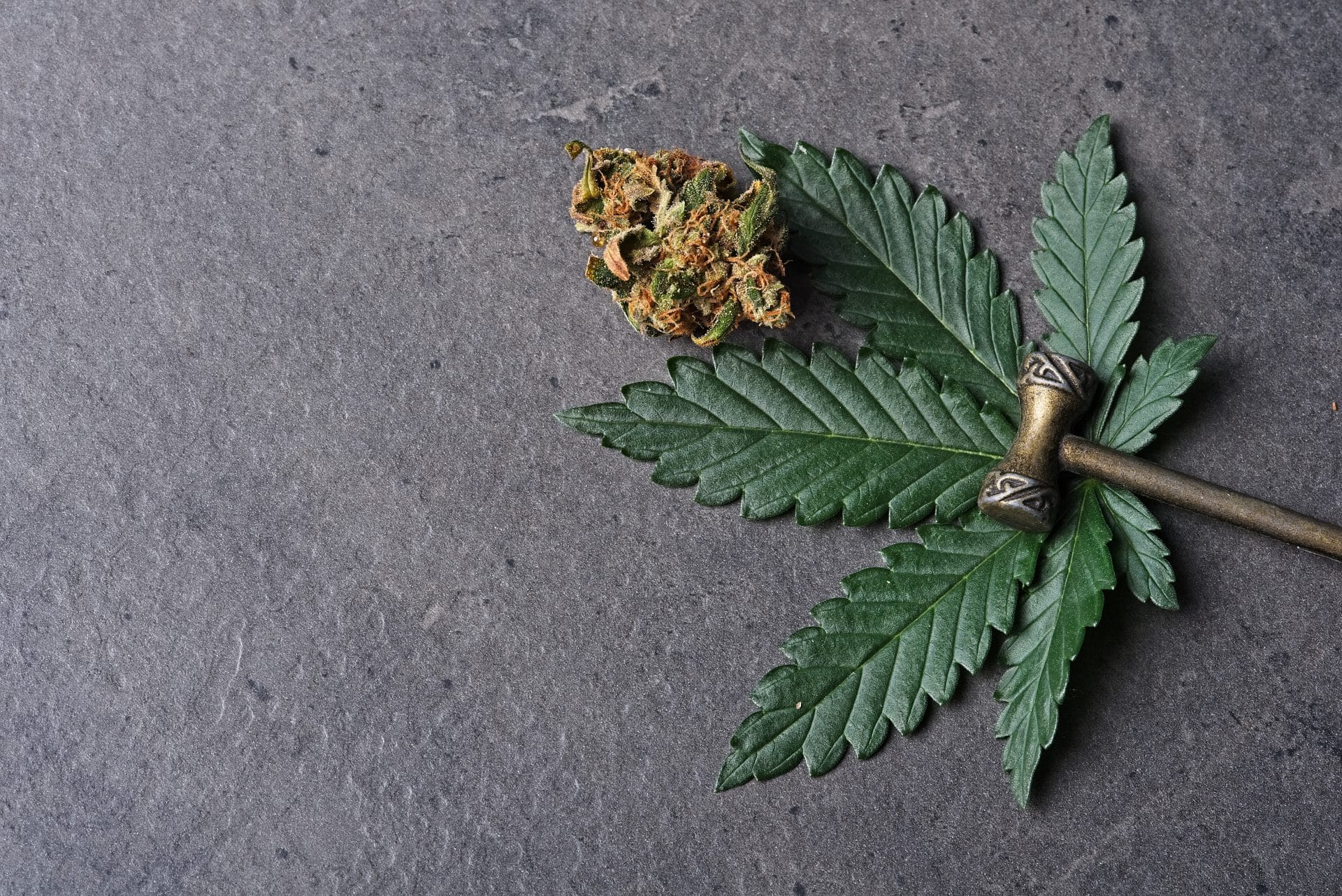 Clouds of Compromise: Florida's Fiery Cannabis Conundrum