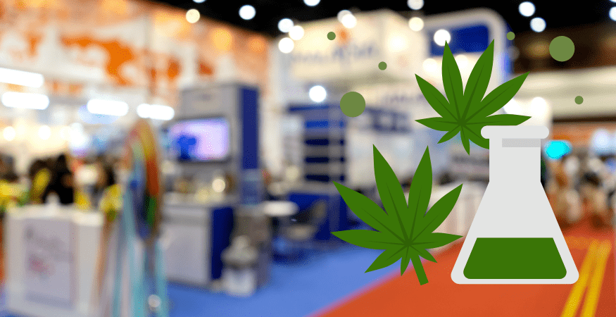 Unveiling Cannabielsoxa: A New Frontier in Cannabis Science