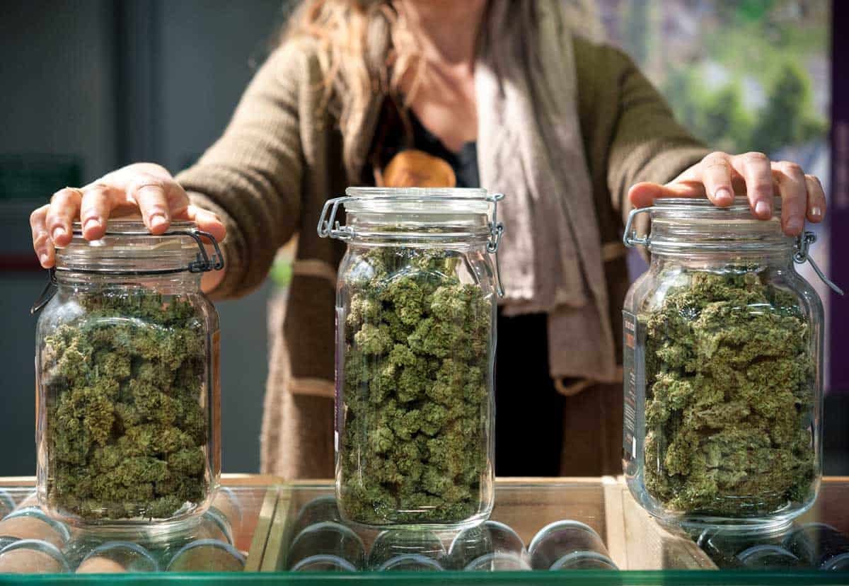 Contemporary Weed Storage: Maintain a Fresh & Safe Stash