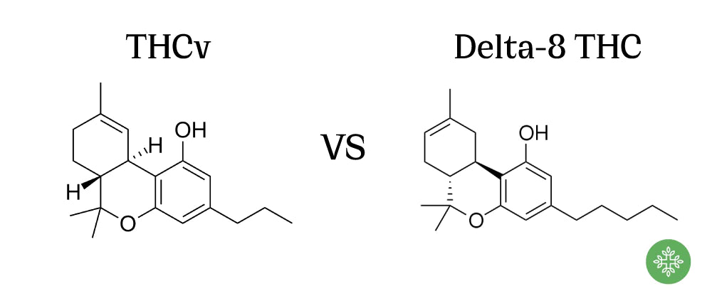Which is Better, THCv or Delta-8? Exploring the Distinctive Qualities