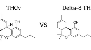 Which is Better, THCv or Delta-8? Exploring the Distinctive Qualities