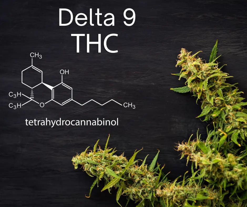 Delta 9 THC Shots