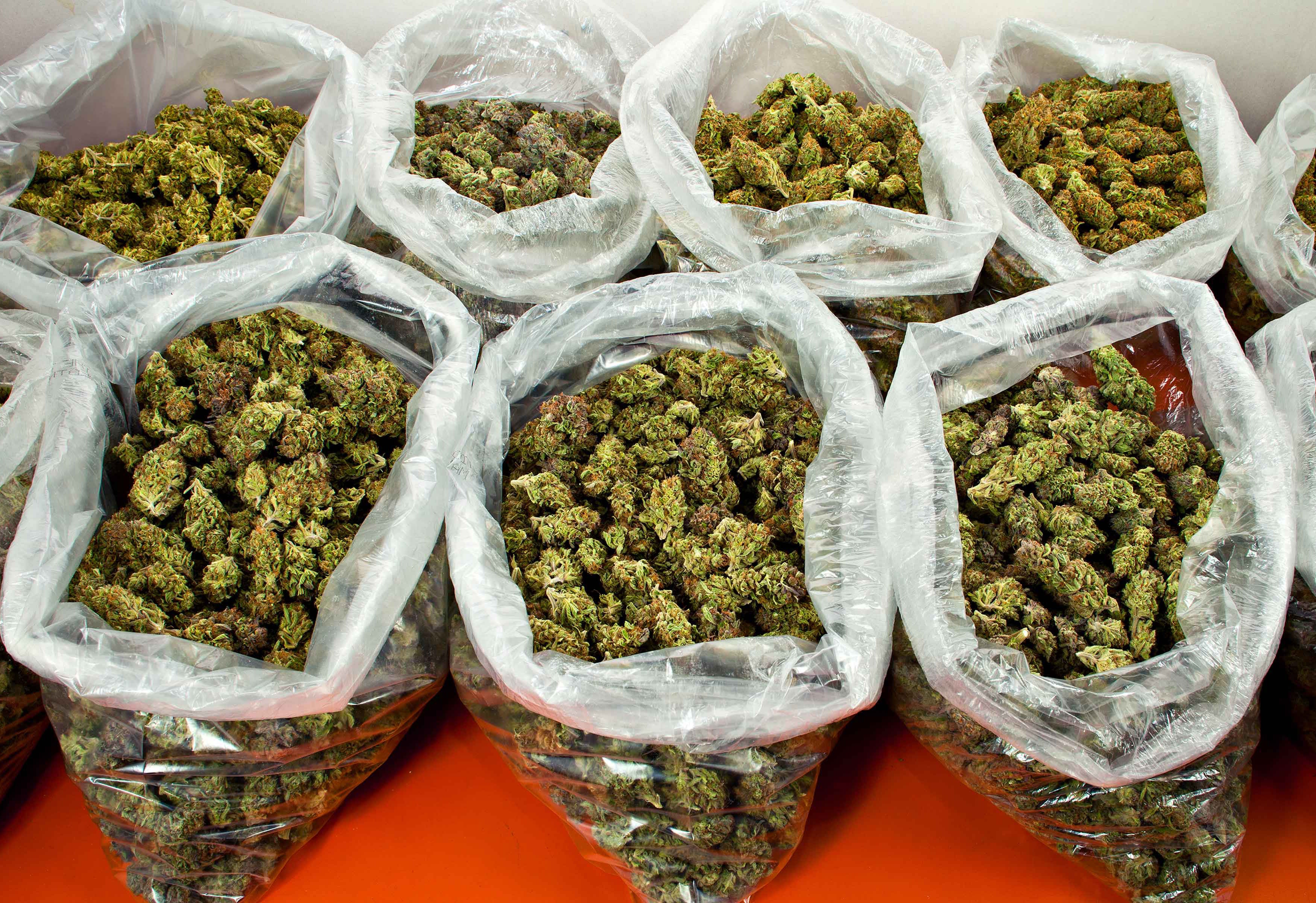 Exotic CBD Flower Bulk