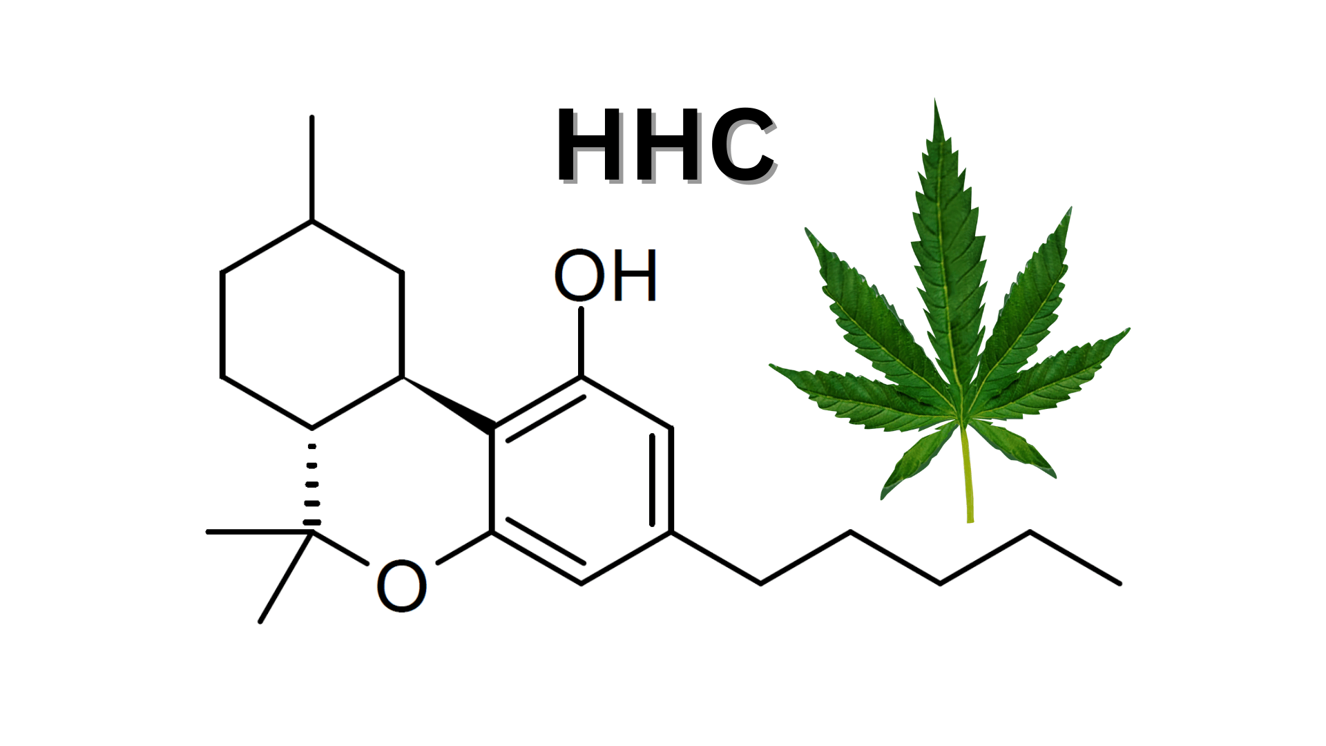 Does HHC Cause You to Bake a Lot?