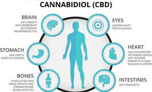 What are some of the Potential Benefits of CBD?