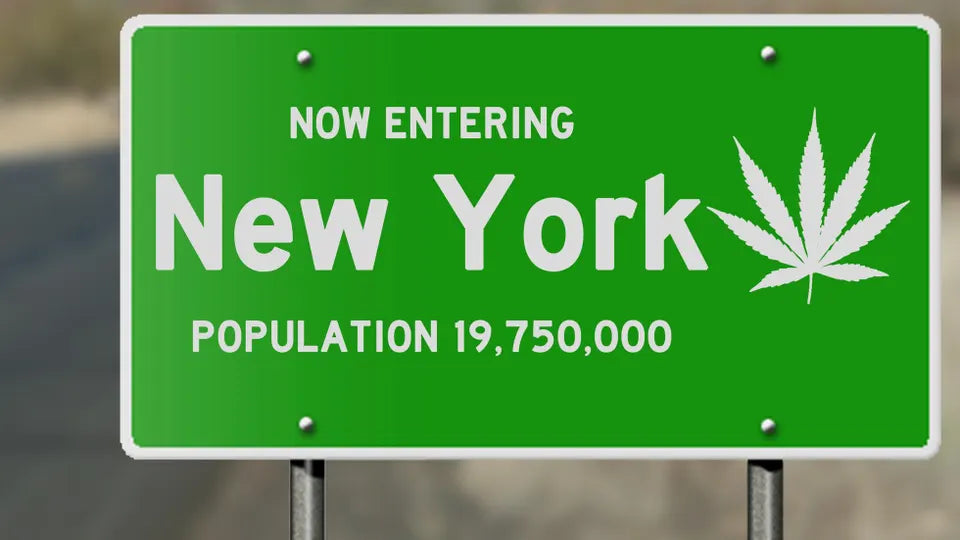 Hemp in New York
