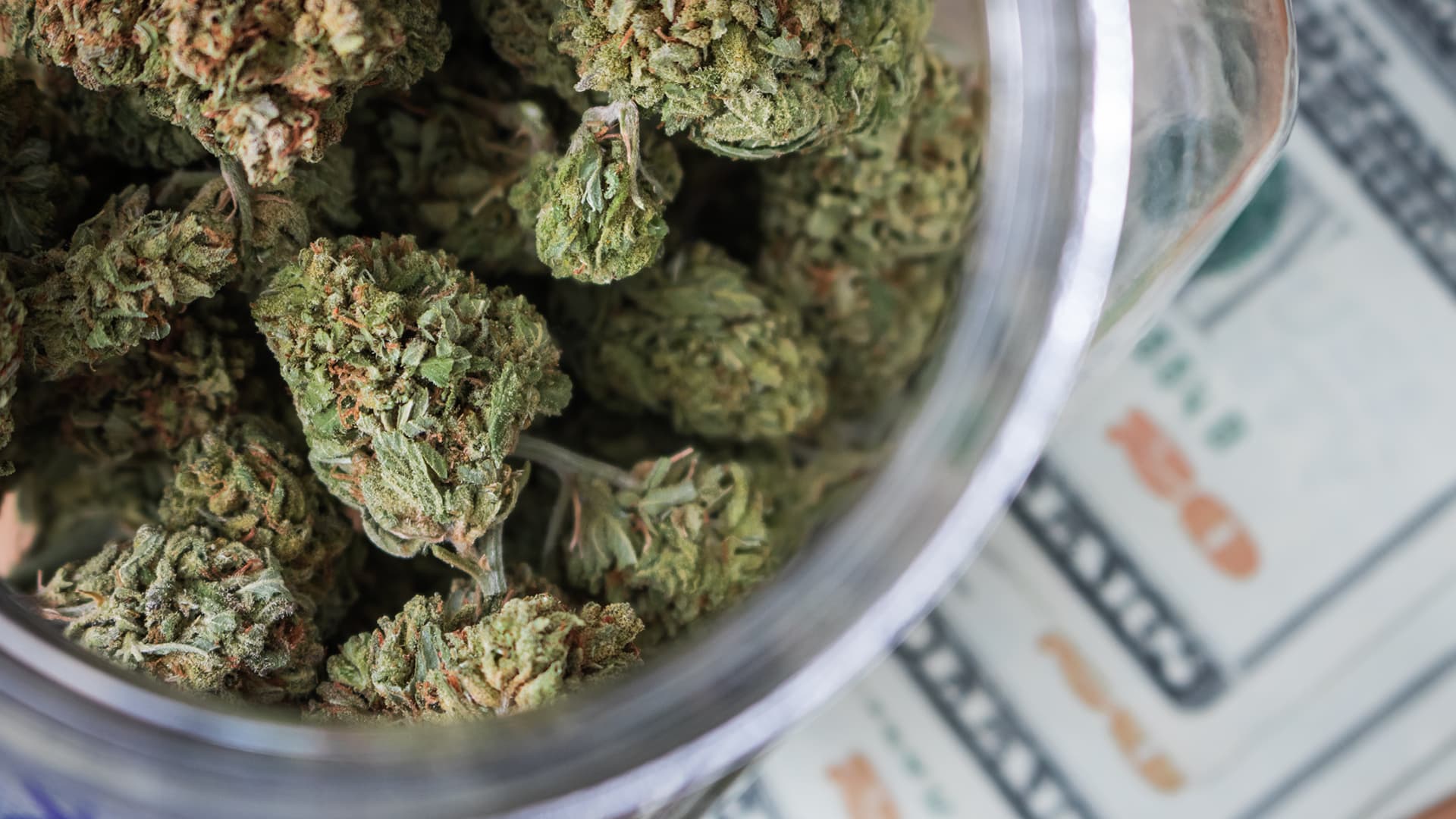 Federal Agency Issues Update On Marijuana Banking Trends As Trump Weighs Rescheduling