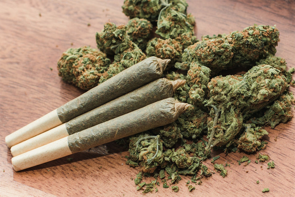 The Green Invasion: China's Shadow in America's Cannabis Fields