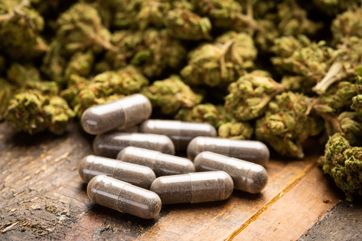 Montana’s Marijuana Tax Revenue Fuels Conservation Dreams