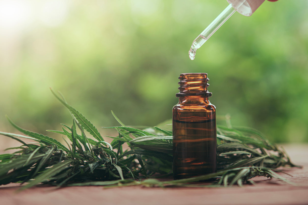 A New Dawn for Veterans: Senate Committee Champions Medical Marijuana