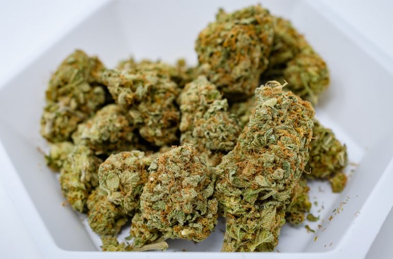 Pennsylvania's Bold Leap Toward State-Run Cannabis Retail