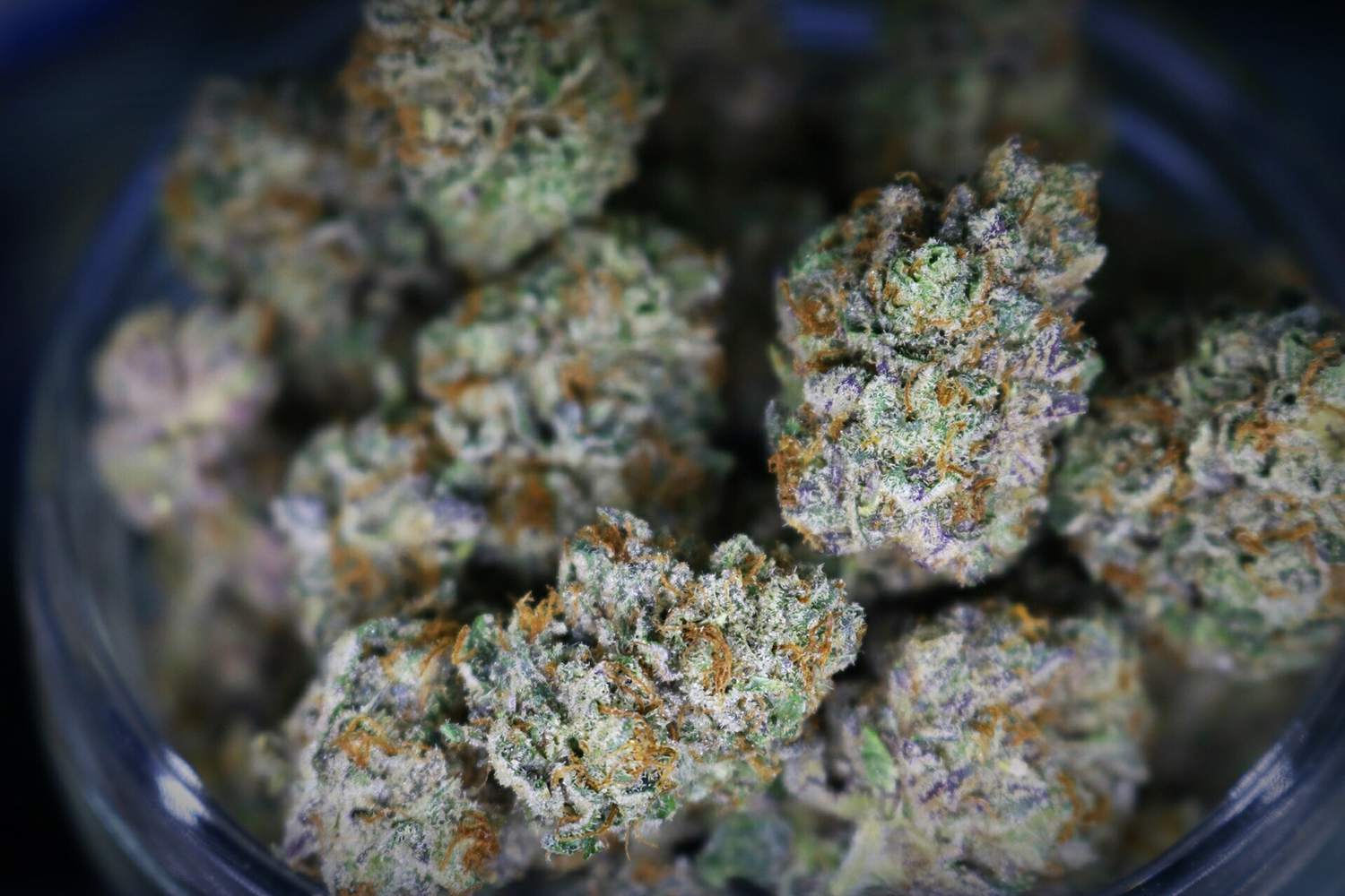 A Promise Unfulfilled: DEA’s New Direction Sidelines Marijuana Rescheduling