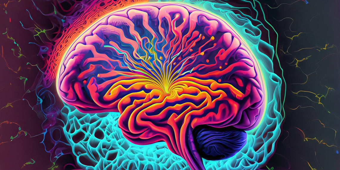A Psychedelic Renaissance: Massachusetts' Bold Step Toward Healing Minds
