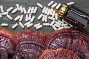 Reishi Mushroom Pills
