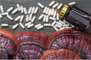 Reishi Mushroom Pills