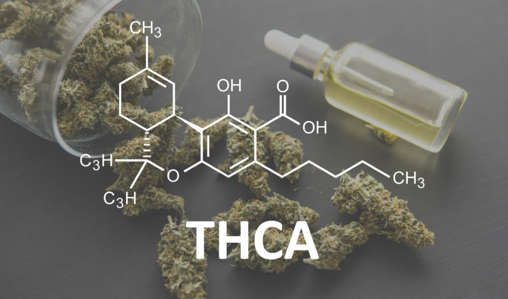THCA Distillate Wholesale