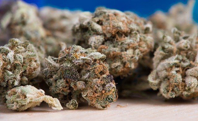 THCA Flower