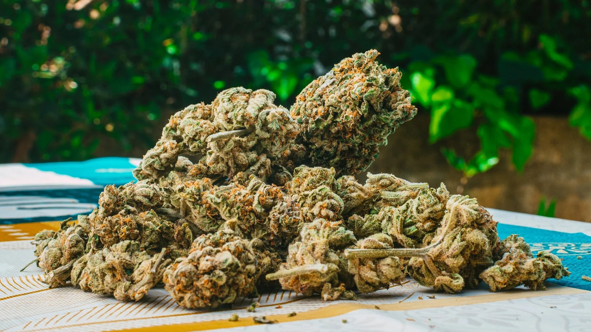 THCA Flower Wholesale