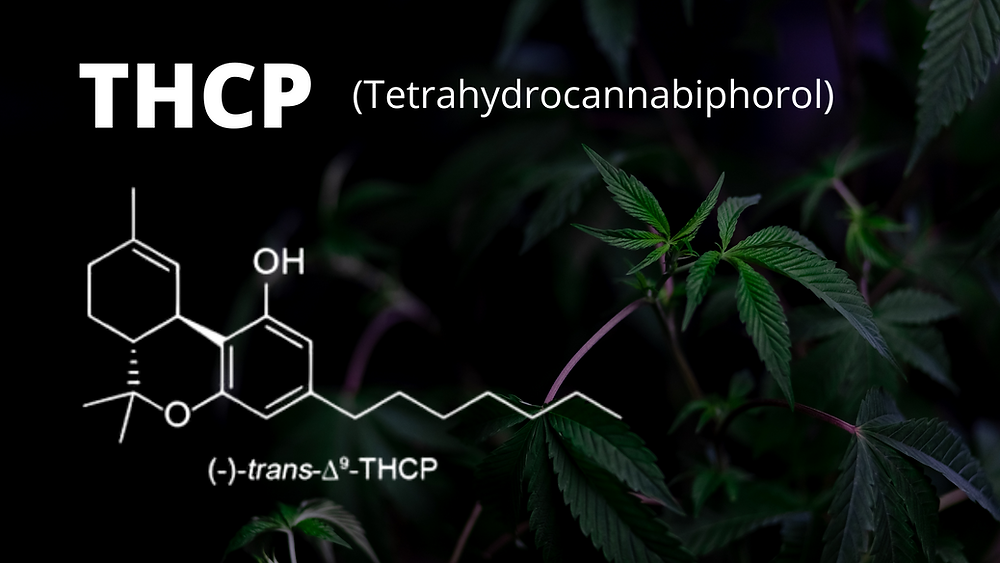 THCP
