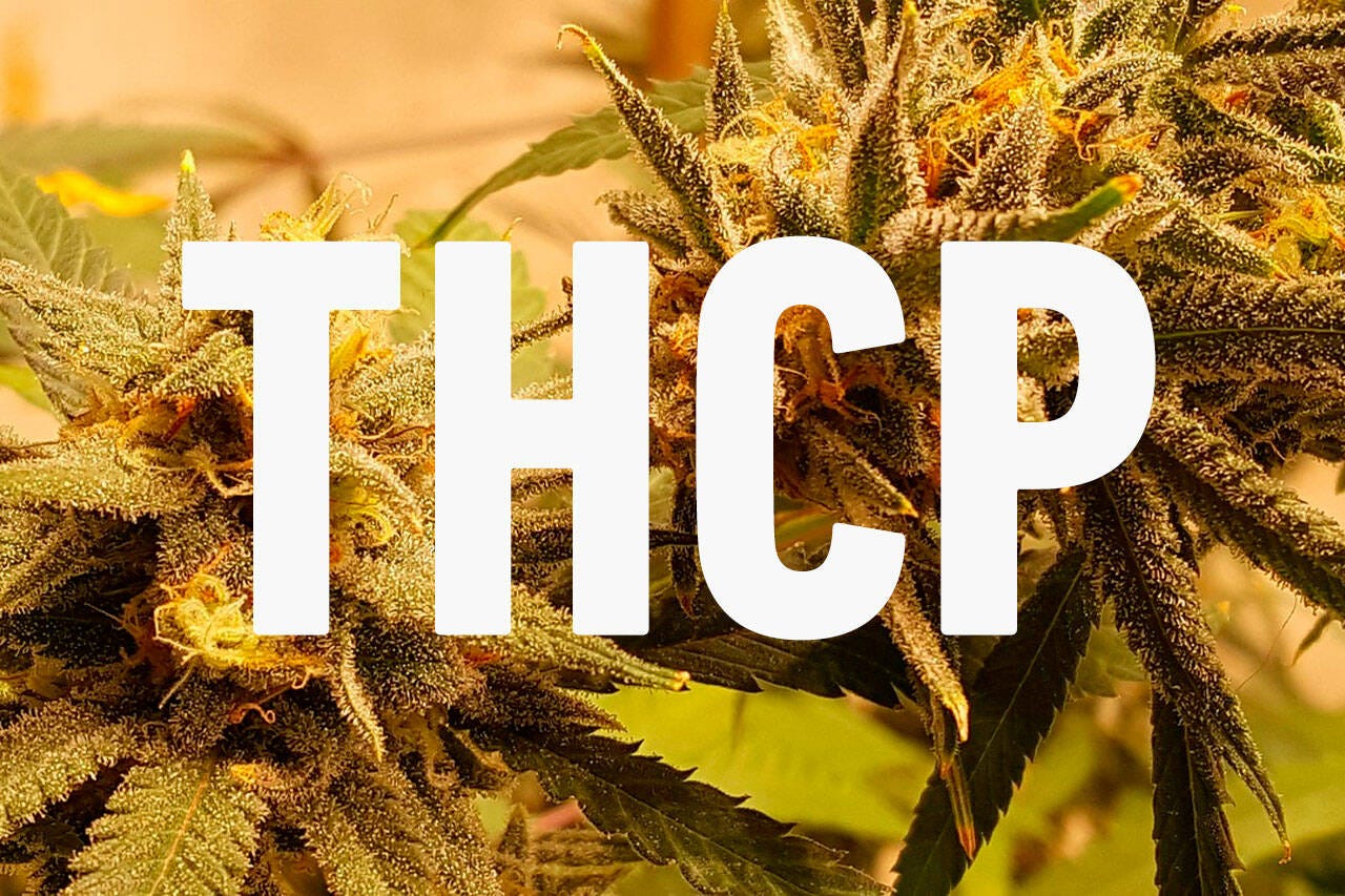 THCP Flower Wholesale