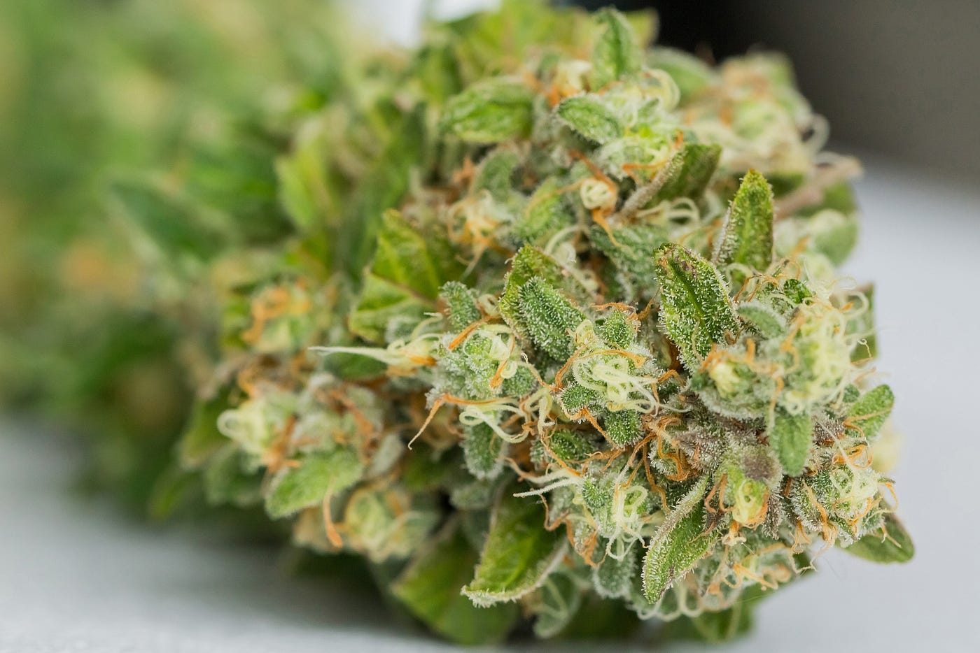 THCP Flower White Label