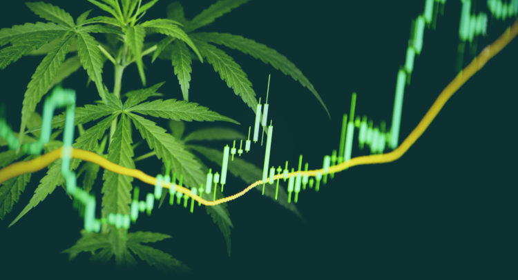 Top Cannabis Equities