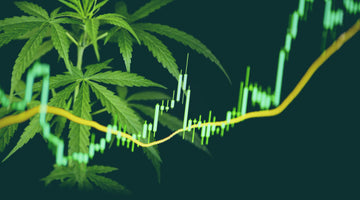 Top Cannabis Equities