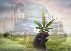 Can CBD Be Used by Truck Drivers?