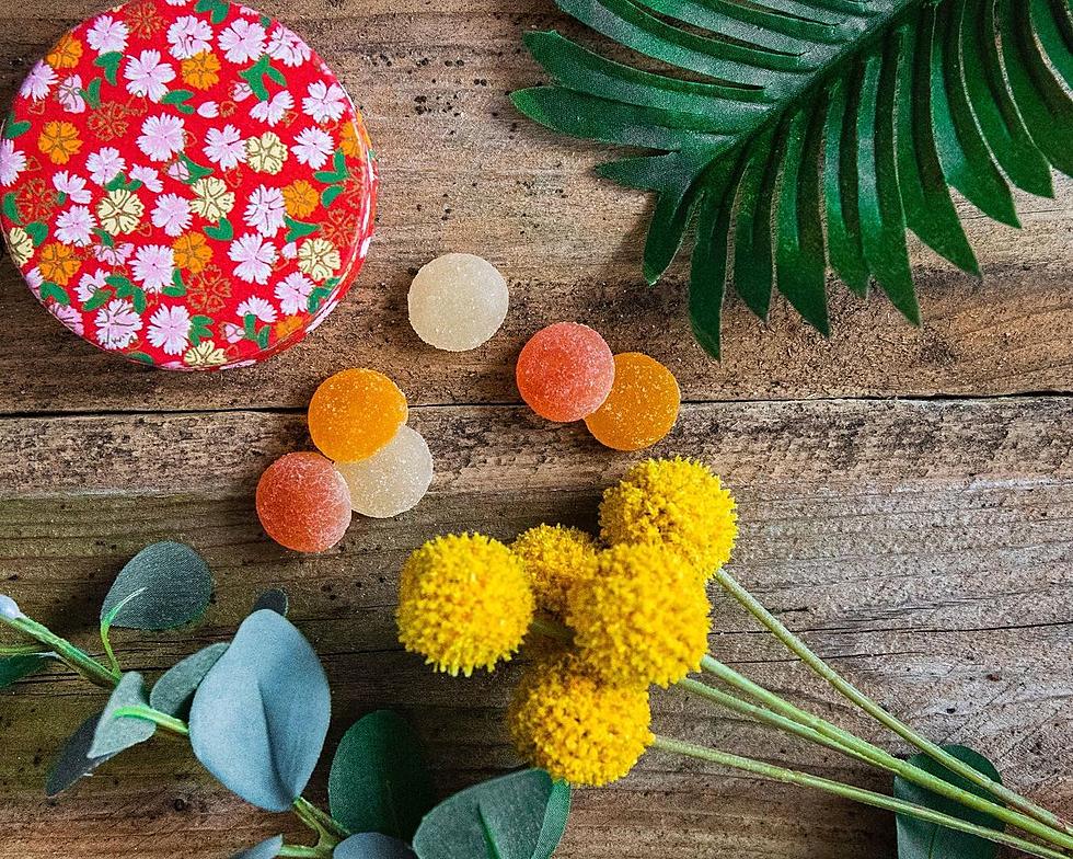 What Makes Vegan CBD & THC Products Vegan?